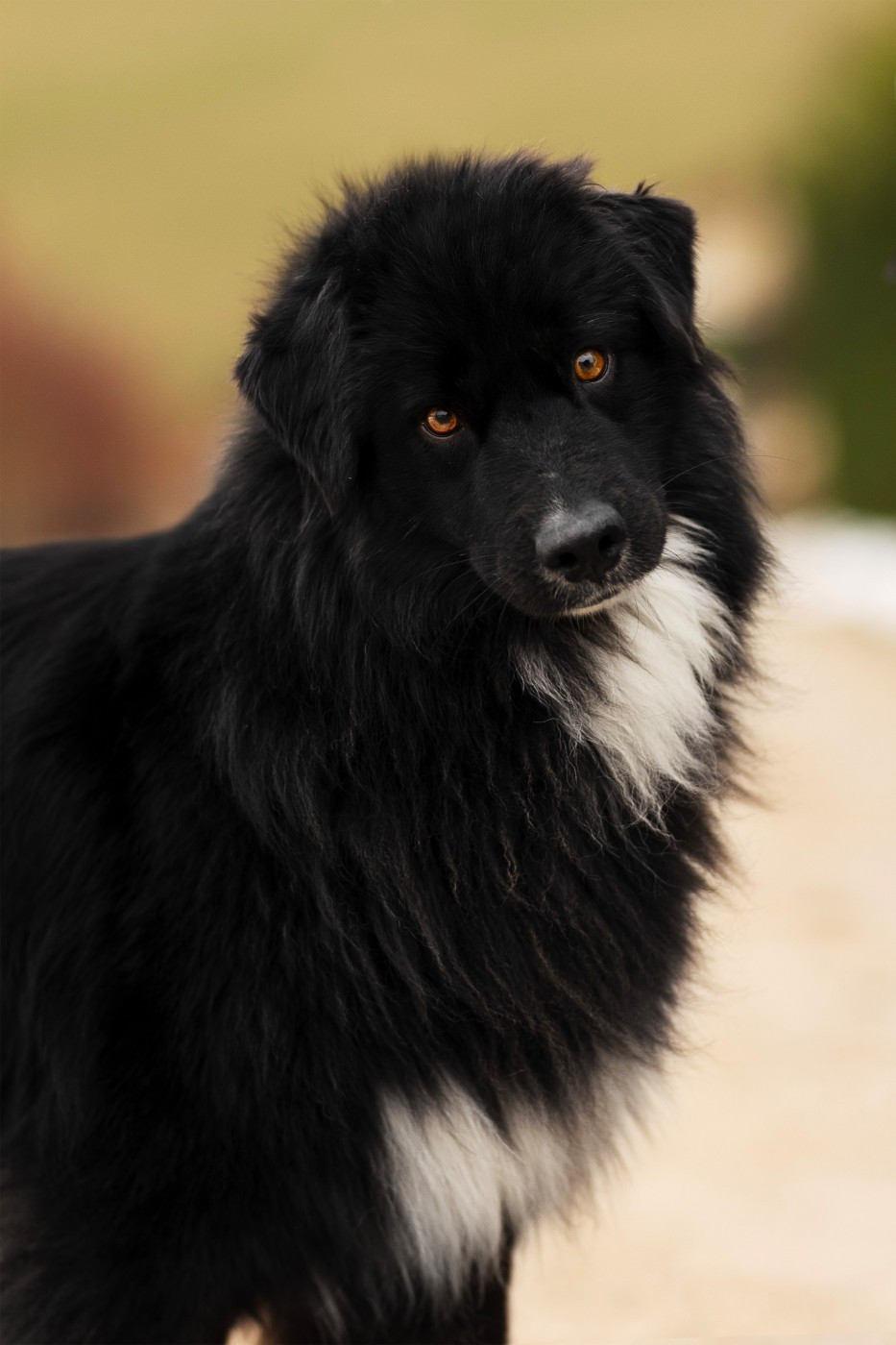 Unforgettable Of Salsa's Stars